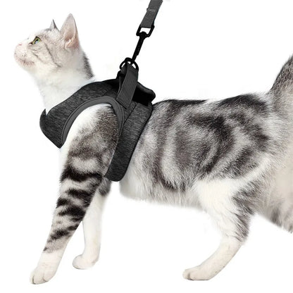 Small Cat Harness And Leash Set, Adjustable Anti-Escape, Color Options, 1.2m