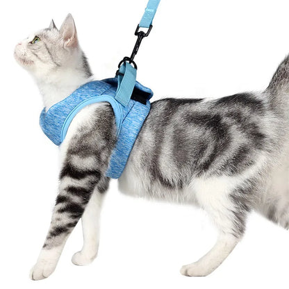 Small Cat Harness And Leash Set, Adjustable Anti-Escape, Color Options, 1.2m