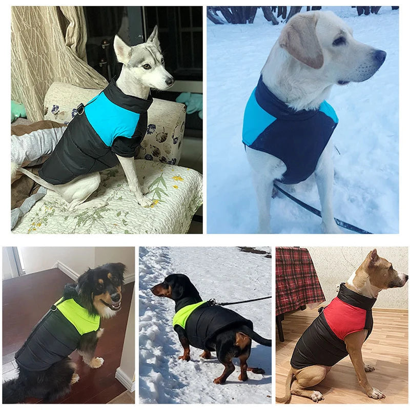 Winter Dog Coat Warm Waterproof Vest for Small, Medium & Large Dogs