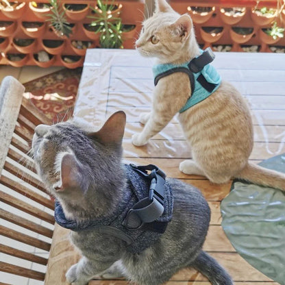 Small Cat Harness And Leash Set, Adjustable Anti-Escape, Color Options, 1.2m