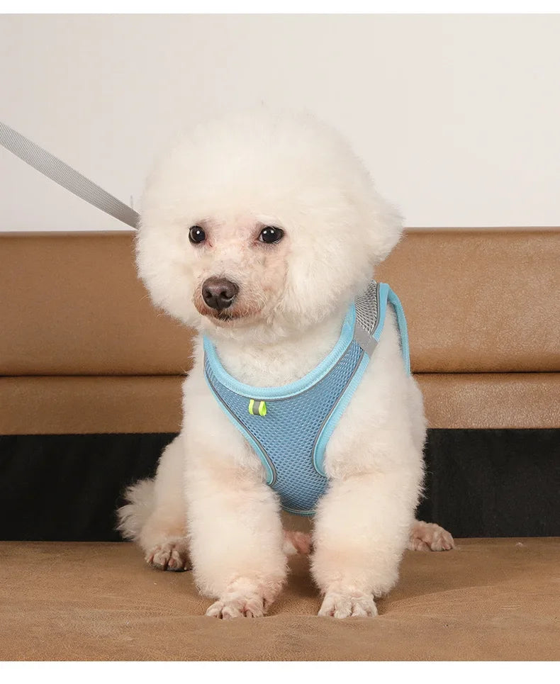 Pet Things Cat Accessories Cute Adjustable Cat Collar and Leash Set for Walking Safe Reflective Soft Comfortable Vest