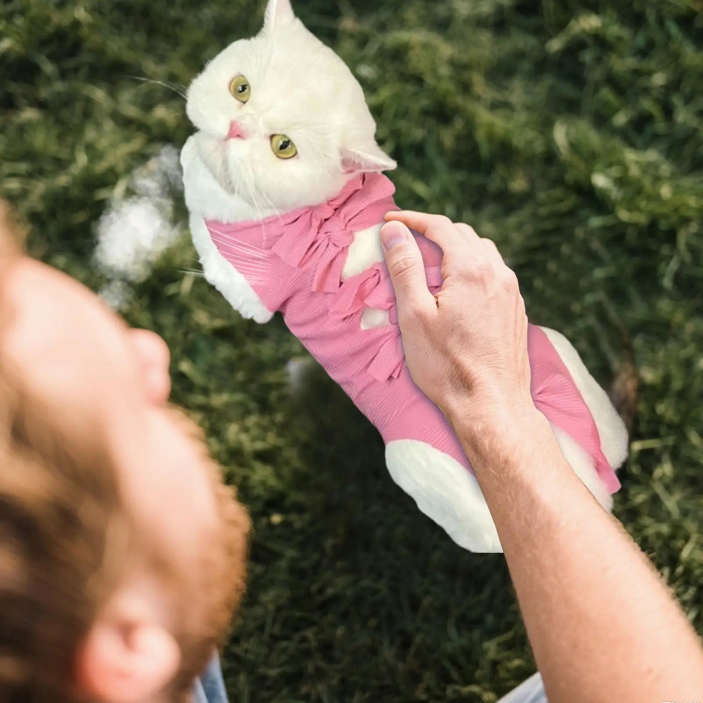 Cat Recovery Suit Breathable Recovery Suit For Cats Soft Vest Onesie Jacket For Spay Wound Lick Prevention Pet Home Indoor