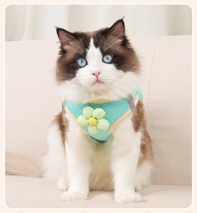 Puppy Dog Reflective Pet Harness And Leash Set For Dog &Cat No Pull Dog Vest Harness With Breathable Mesh Chest Straps