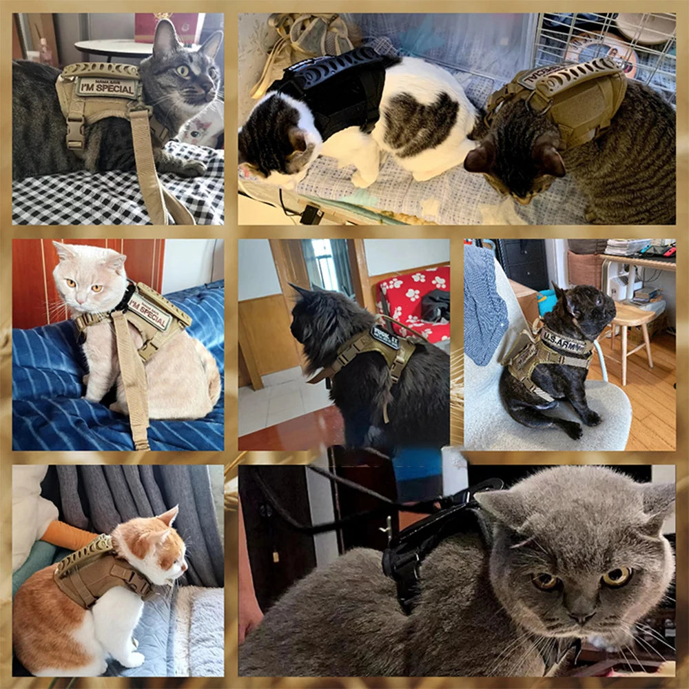 Tactical Cat Harness Leash with 9 Patches Small Dog Puppy Vest Straps with Handle Harnesses Training Adjustable Pet Accessories