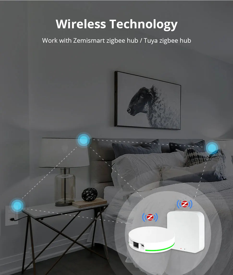 Zemismart Zigbee Smart Brazil Socket 10A 20A Outlets Work with Tuya Smart Life App Alexa Google Home Control
