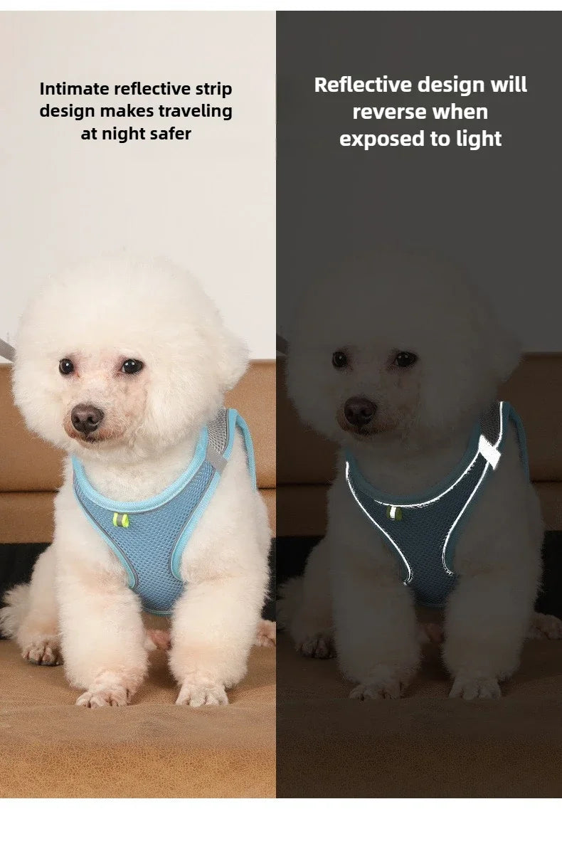 Pet Things Cat Accessories Cute Adjustable Cat Collar and Leash Set for Walking Safe Reflective Soft Comfortable Vest