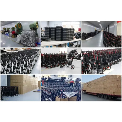 4-Wheel Folding Golf Push Trolley With Umbrella Holder