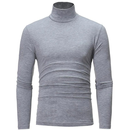 Men's Turtleneck Knit Long Sleeve Pullover Polyester Autumn Winter