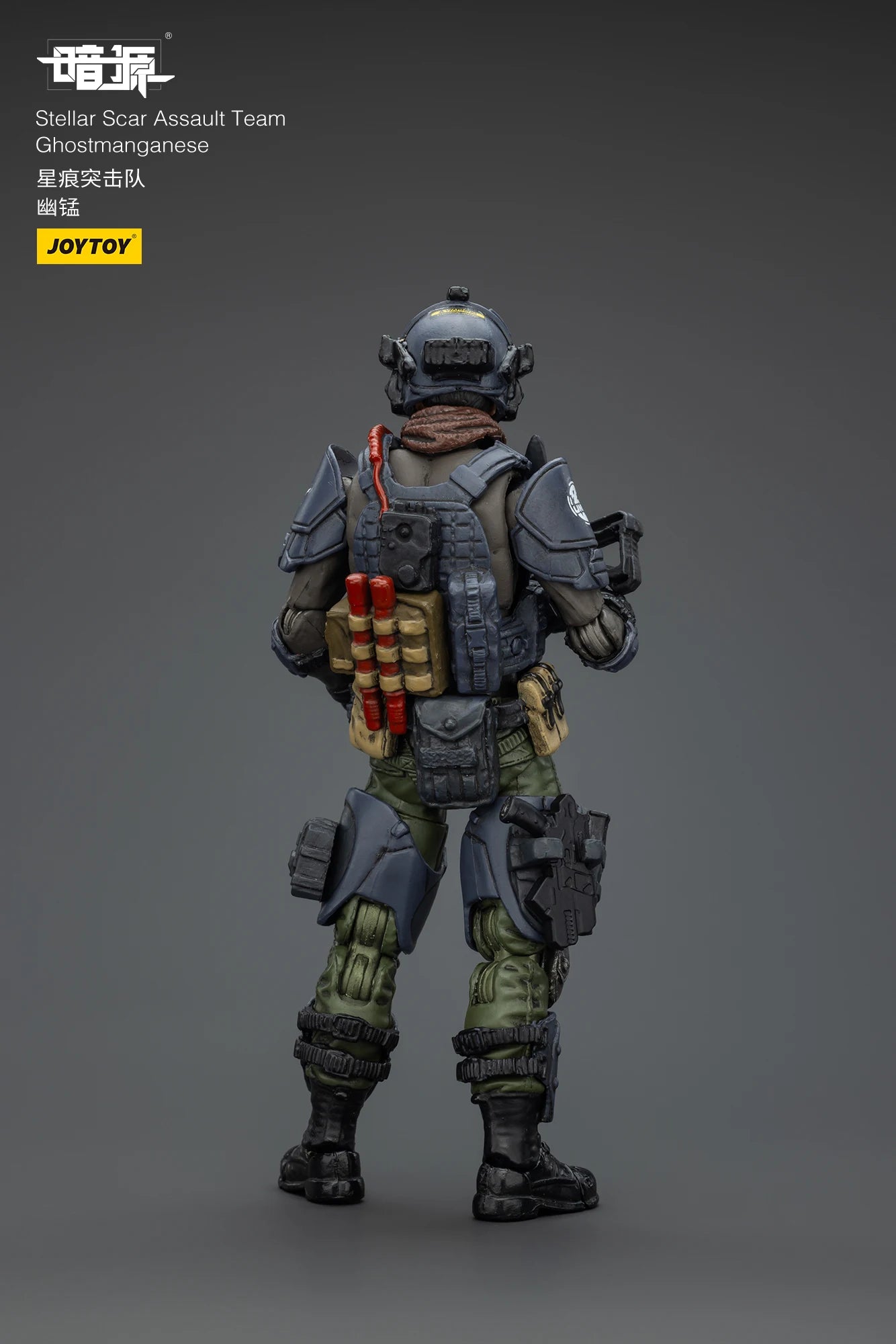 [IN STOCK]JOYTOY Dark Source Action Figure Stellar Scar Assault Team 1/18 Anime Military Model