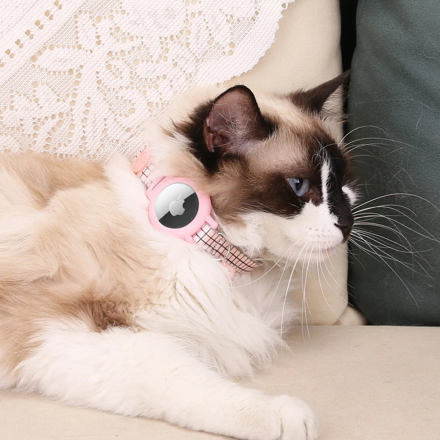 Pink Nylon Cat Collar With Bell For Tracking Device
