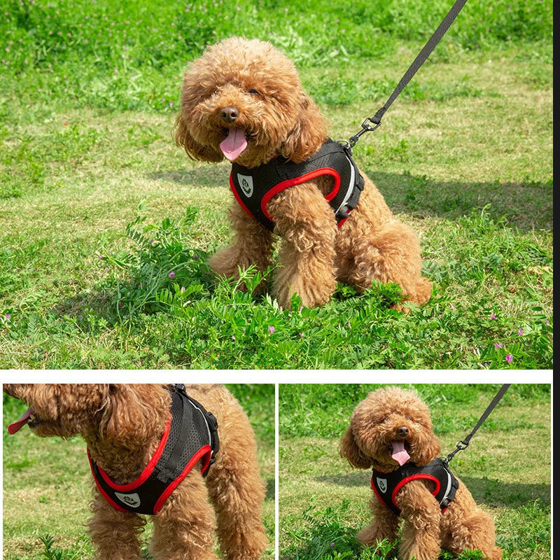 Dog Harness Vest Set for Small Medium Dog Harness Leash Puppy Cat Vest Harness Puppy Pet Kitten Leads Reflective Cats Collar