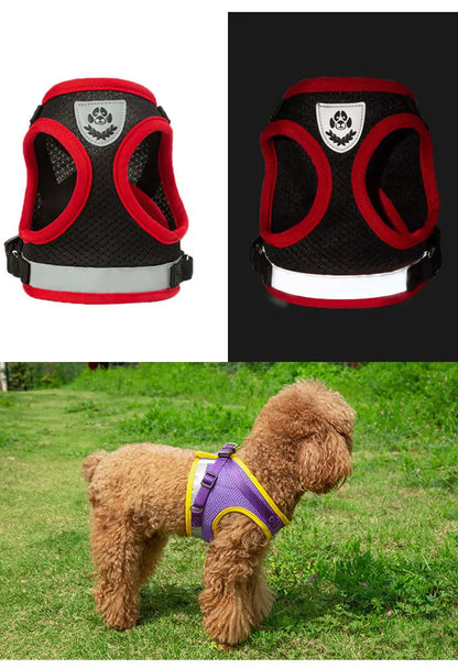 Dog Harness Vest Set With Leash And Collar Reflective Small To Medium Dogs