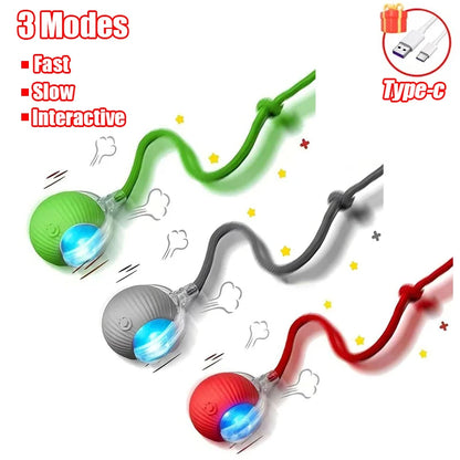 Rolling Ball Toy for Cats and Dogs Rechargeable ABS and Silicone