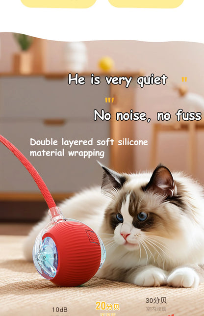 Rolling Ball Toy for Cats and Dogs Rechargeable ABS and Silicone