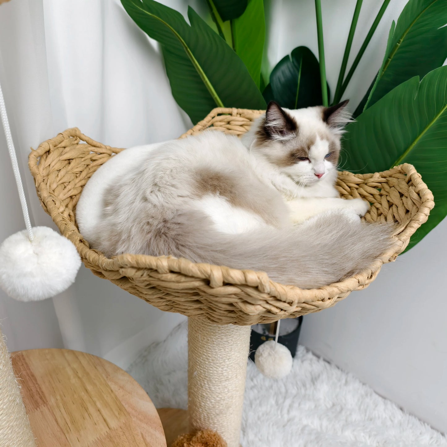 3-Tier Cat Tree Padded Plush Napping Perches Kitten Condo Sisal Rope Scratching Posts and Hanging Toy Tower for Indoor Kitties