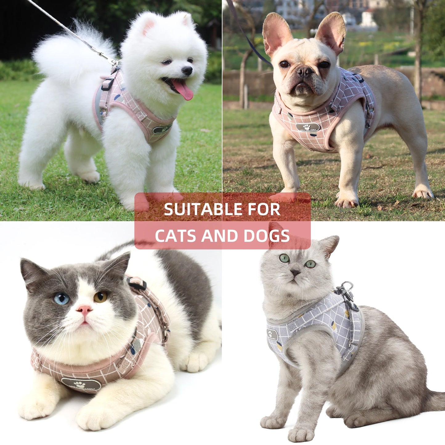 Pet Puppy Harness with Leash, Cat Collar, Breathable Dog Harness, Reflective Dog Leash, Poodle Pet Supplies