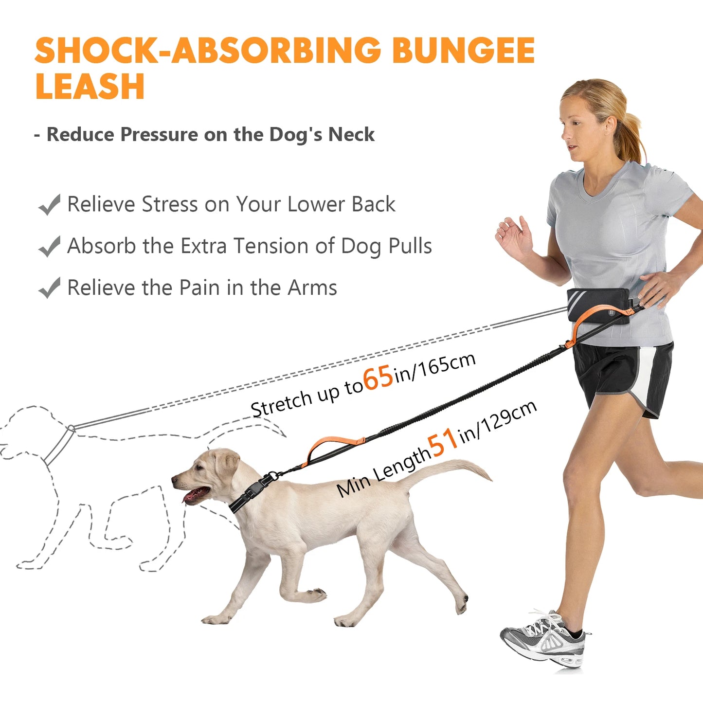 Hands Free Dog Leash with Zipper Pouch, Dual Padded Handles and Durable Bungee for Walking, Jogging and Running Your Dog