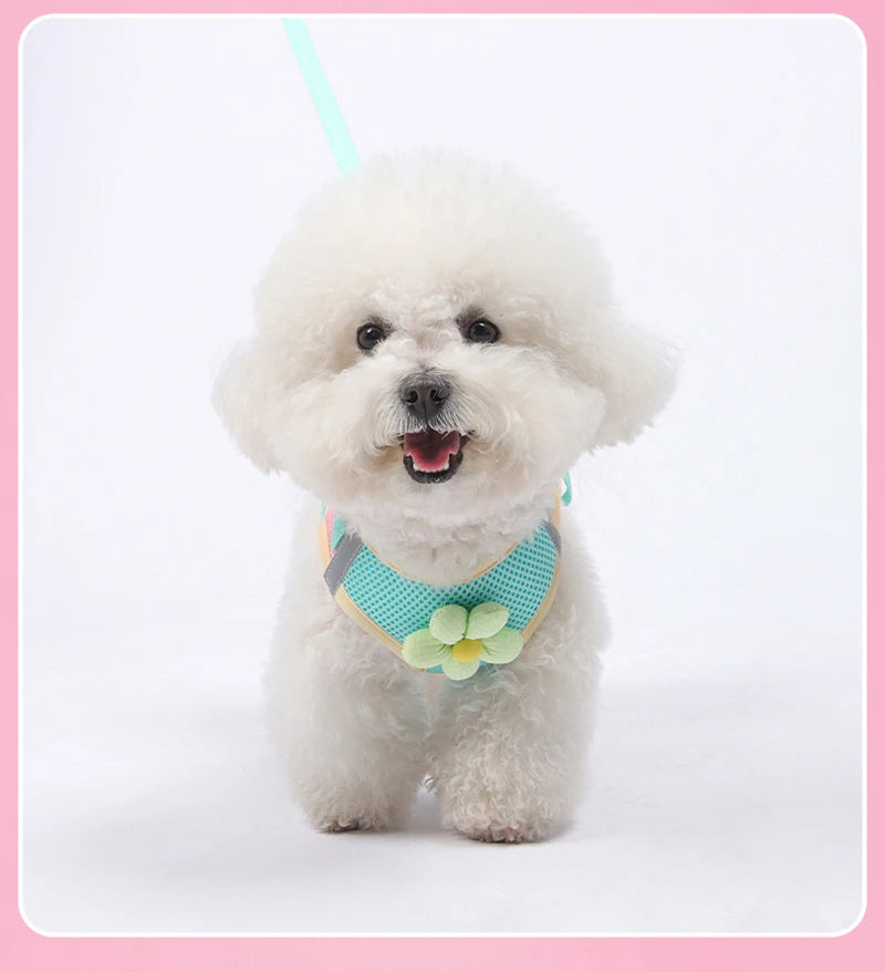 Puppy Dog Reflective Pet Harness And Leash Set For Dog &Cat No Pull Dog Vest Harness With Breathable Mesh Chest Straps