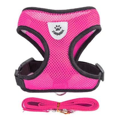 Cat Harness Vest With Leash, Small, Medium, Adjustable Polyester Mesh