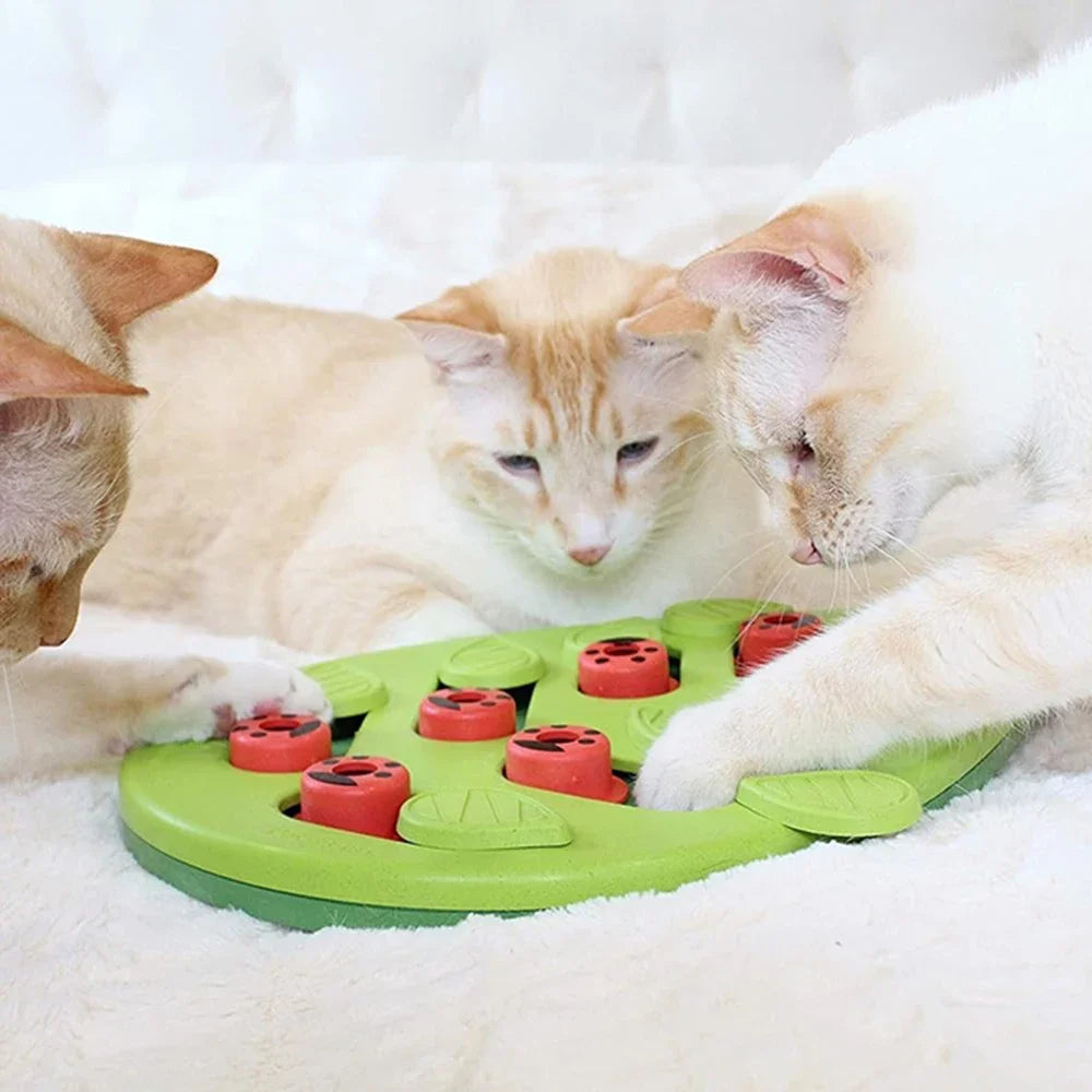 Cat Activity Toy with Food Puzzle and Scratch Feature