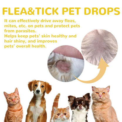 Cat Topical Flea and Tick Treatment Drops for Cats
