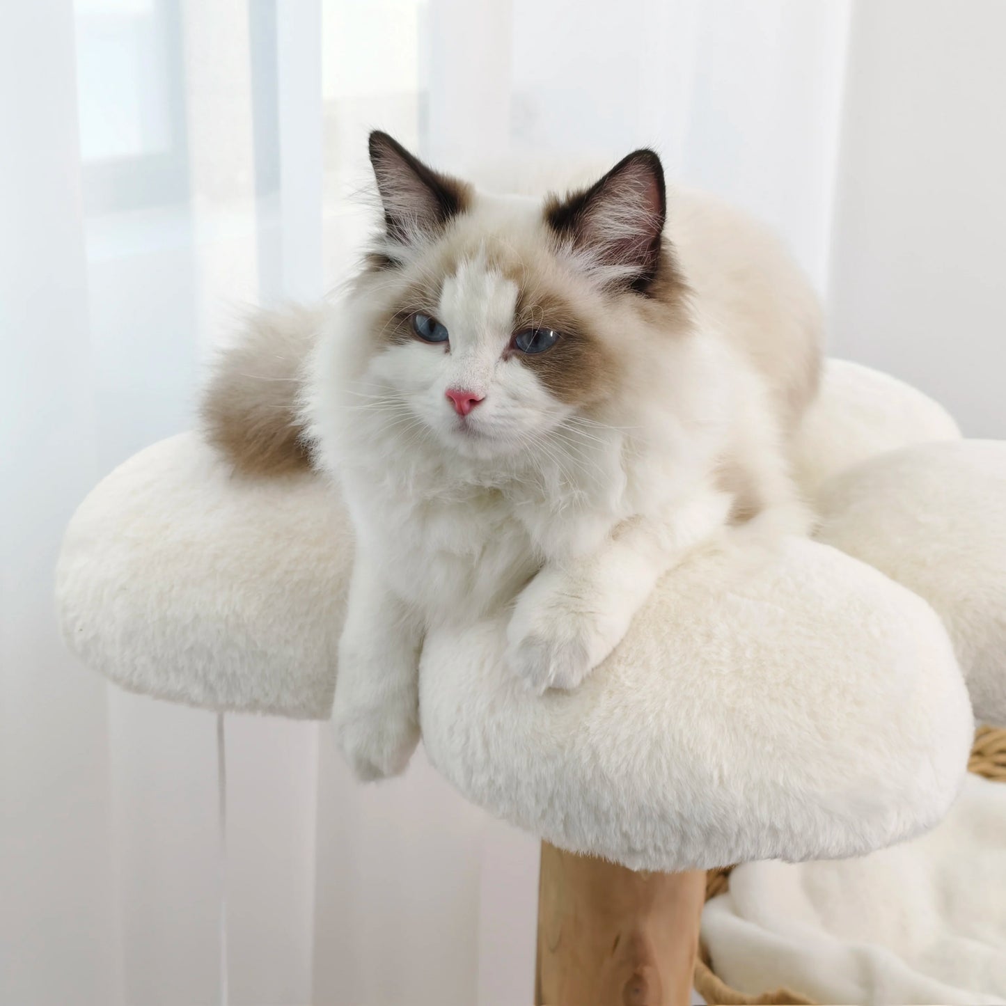 Large Cat Tree Tall Cat Tower for Indoor Cats Multi-Level Plush Cat Condo with Scratching Posts Scratching Boards Perches Caves