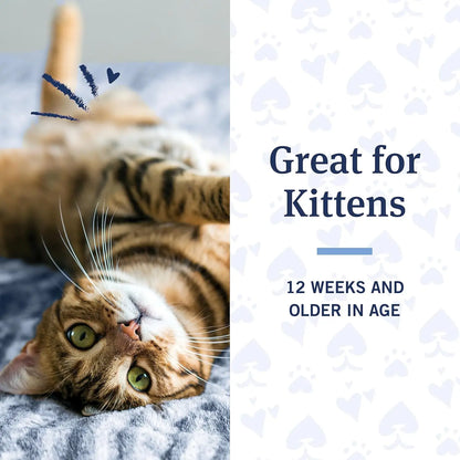 Cat Flea and Tick Shampoo, Coconut Berry Scent, 12 Oz