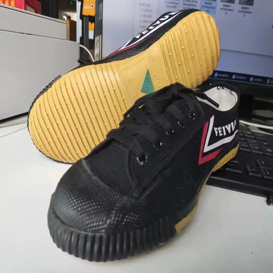 Kung Fu Karate Footwear Sports Training Sneakers Kung Fu Wushu Shoes Martial Arts Tai Chi Taekwondo Chinese Shoes Wushu Mujer