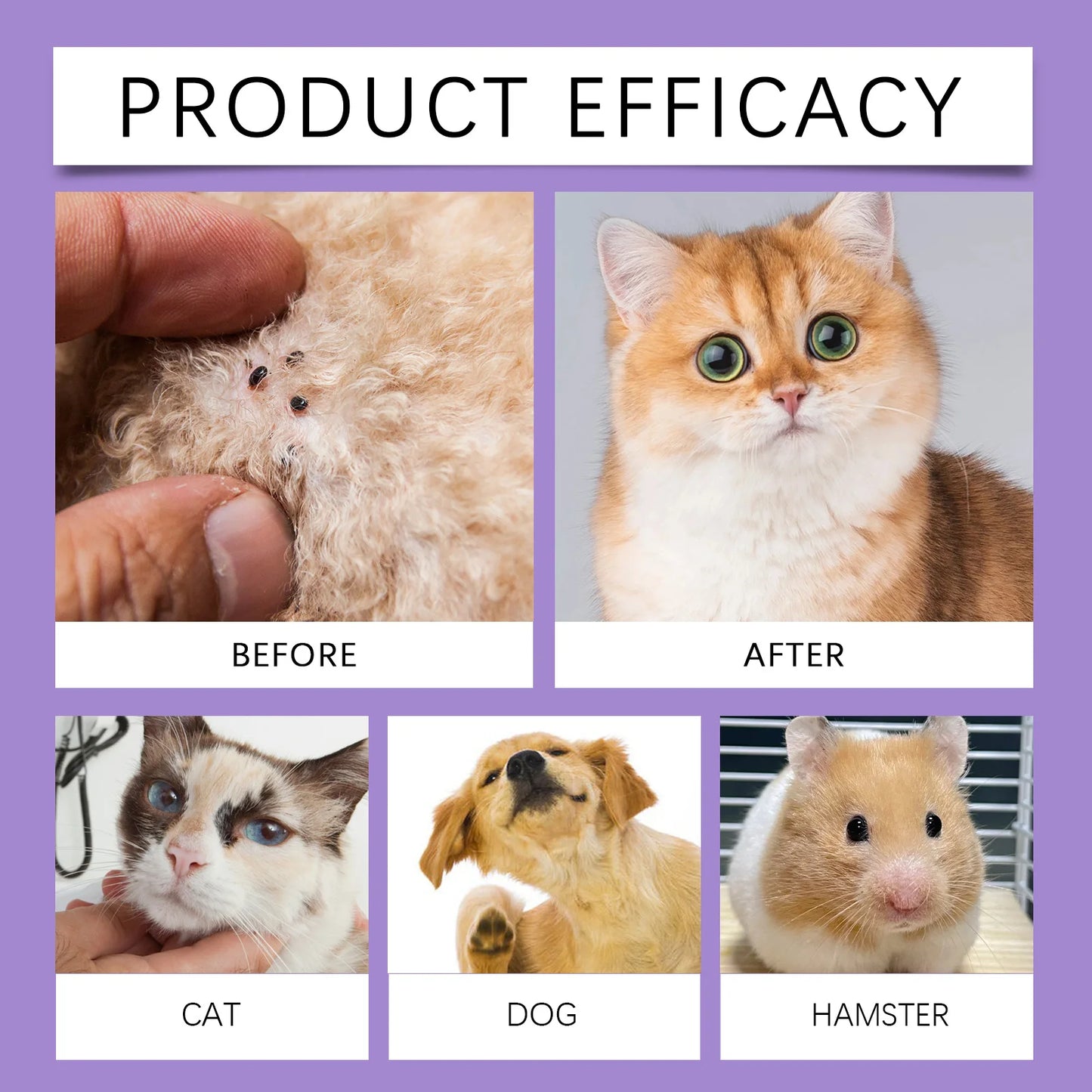 YEGBONG 50ml Flea Tick Prevention Spray for Dogs and Cats Fast Acting Waterproof Outdoor Protection with Natural Essential Oils