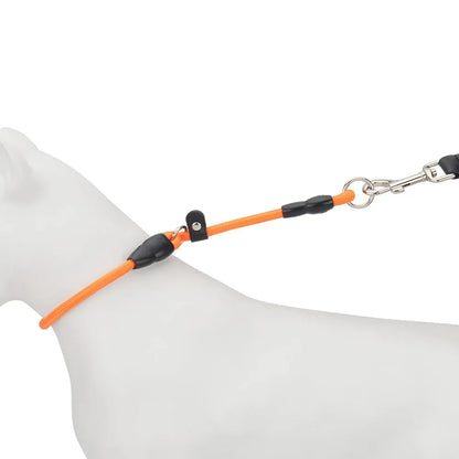 Nylon Dog Slip Collar With Slidable Stopper Martingale Sizes S-M-L Multi-Color