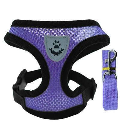 Cat Harness Vest With Leash, Small, Medium, Adjustable Polyester Mesh
