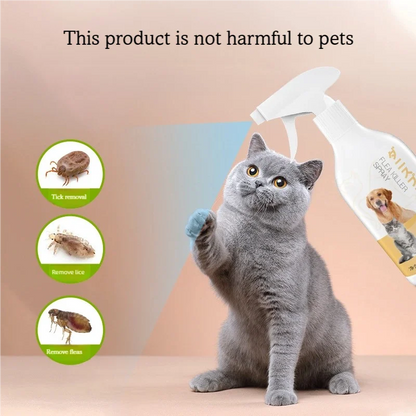 500ml Pet Flea and Tick Killer Spray With Lavender and Camphor Oil