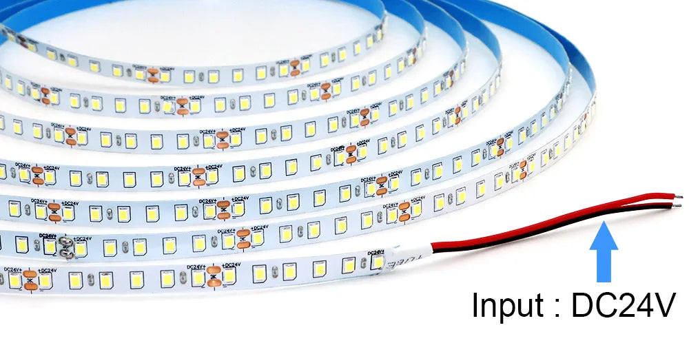 Flexible LED Strip 24V – 5m to 20m, 120 LEDs/m, Soft Lamp Bar