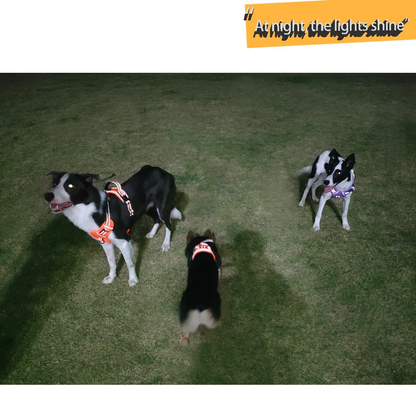 No Pull Dog Harness Front Clip Reflective Heavy Duty Handle For Large Dogs