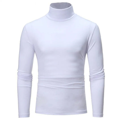 Men's Turtleneck Knit Long Sleeve Pullover Polyester Autumn Winter