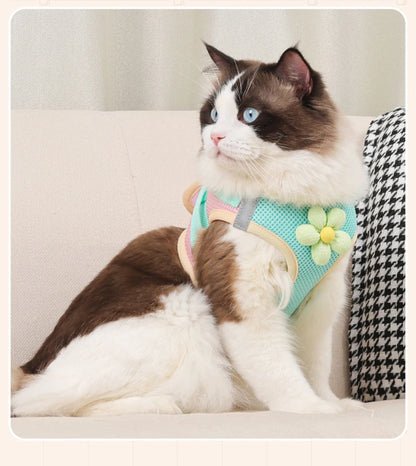 Reflective Pet Harness And Leash Set For Dogs And Cats No Pull Vest Mesh