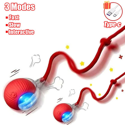 Rolling Ball Toy for Cats and Dogs Rechargeable ABS and Silicone