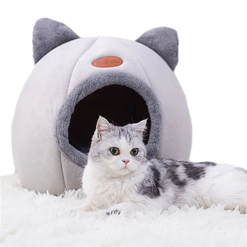 Cozy Tent-Style Pet Mat for Cats and Small Dogs
