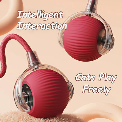 Rolling Ball Toy for Cats and Dogs Rechargeable ABS and Silicone