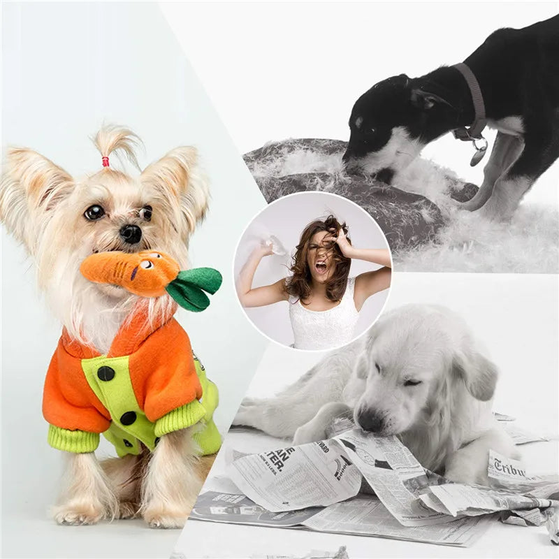 10/20/50 Pack Plush Dog Squeaky Toys – Soft Fleece Chew & Play Toys for Small and Medium Dogs