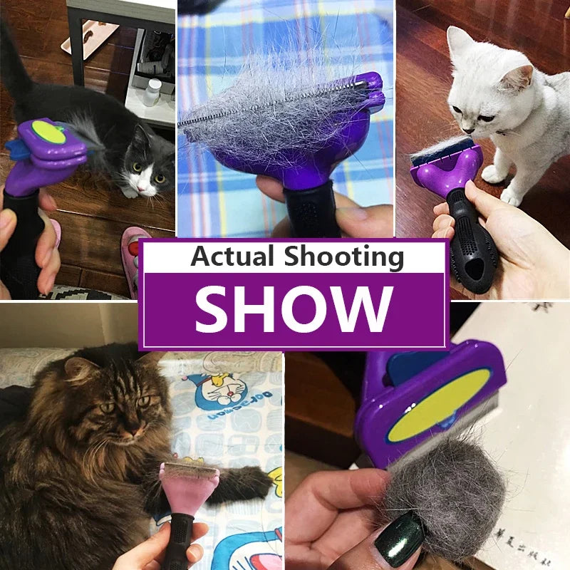 Cat & Dog Brush for Grooming, Hair Removal, and Massage