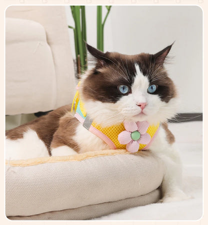 Reflective Pet Harness And Leash Set For Dogs And Cats No Pull Vest Mesh