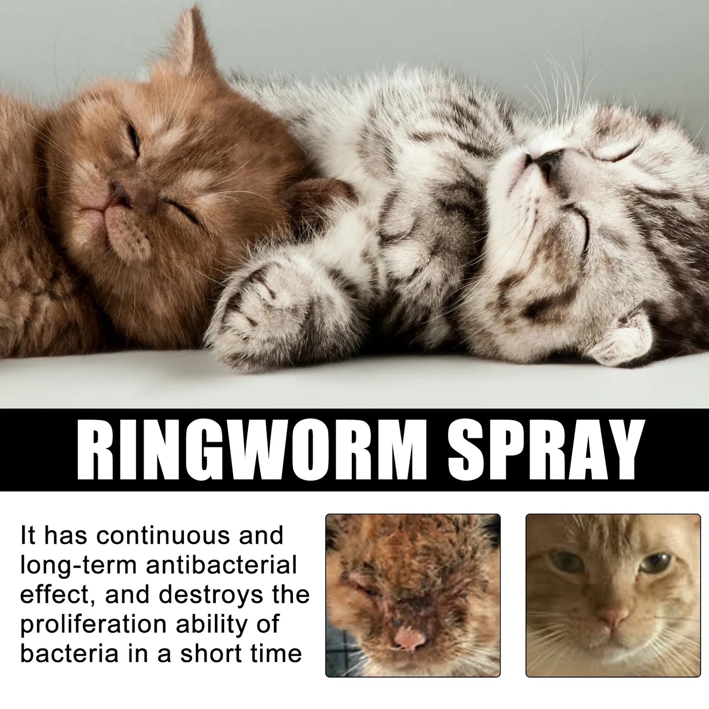 Pet Moss Spray Dogs Cats Relieve Itching Fur Regrowth Tick Lice Mite Remover Flea Killer Ringworm Treatment Pet Skin Care Liquid