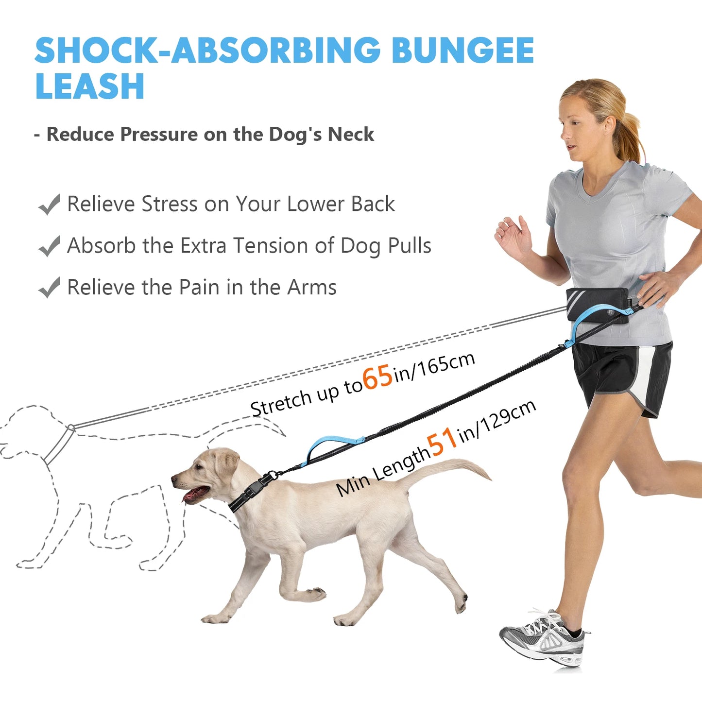 Hands Free Dog Leash with Zipper Pouch, Dual Padded Handles and Durable Bungee for Walking, Jogging and Running Your Dog