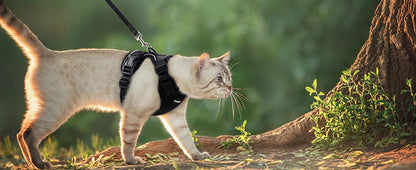 Cat Harness And Leash Set Escape Proof Soft Adjustable Vest Harness