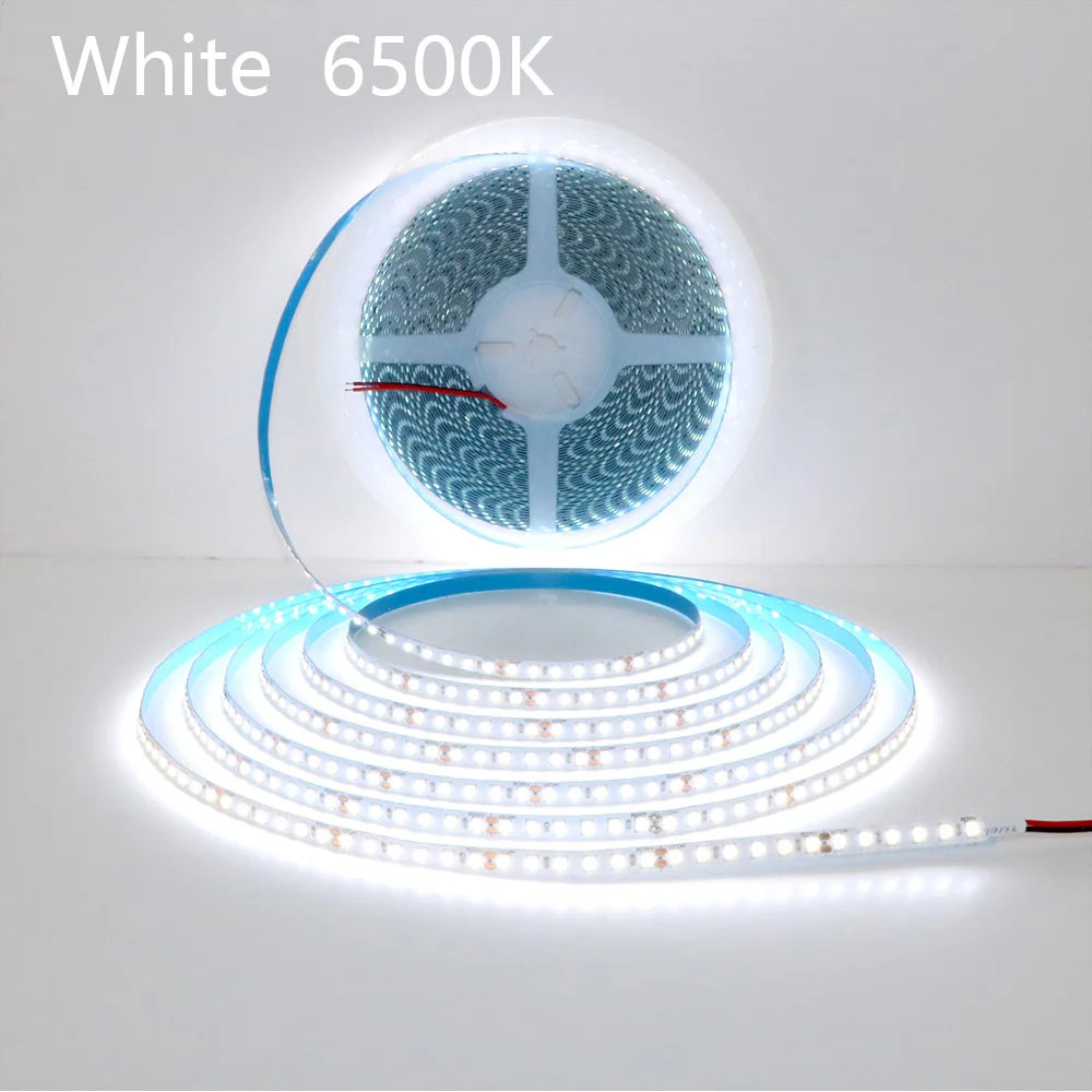 Flexible LED Strip 24V – 5m to 20m, 120 LEDs/m, Soft Lamp Bar