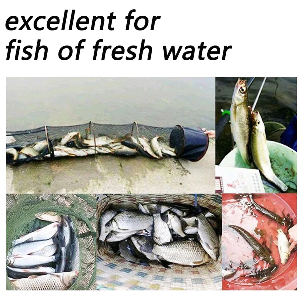 Jelly Bait 100PCS 200PCS 500PCS Granular Fishing Food Aquatic Feed Carp Pesca Attractant Flavor Elastic Nutrition Soft Lure