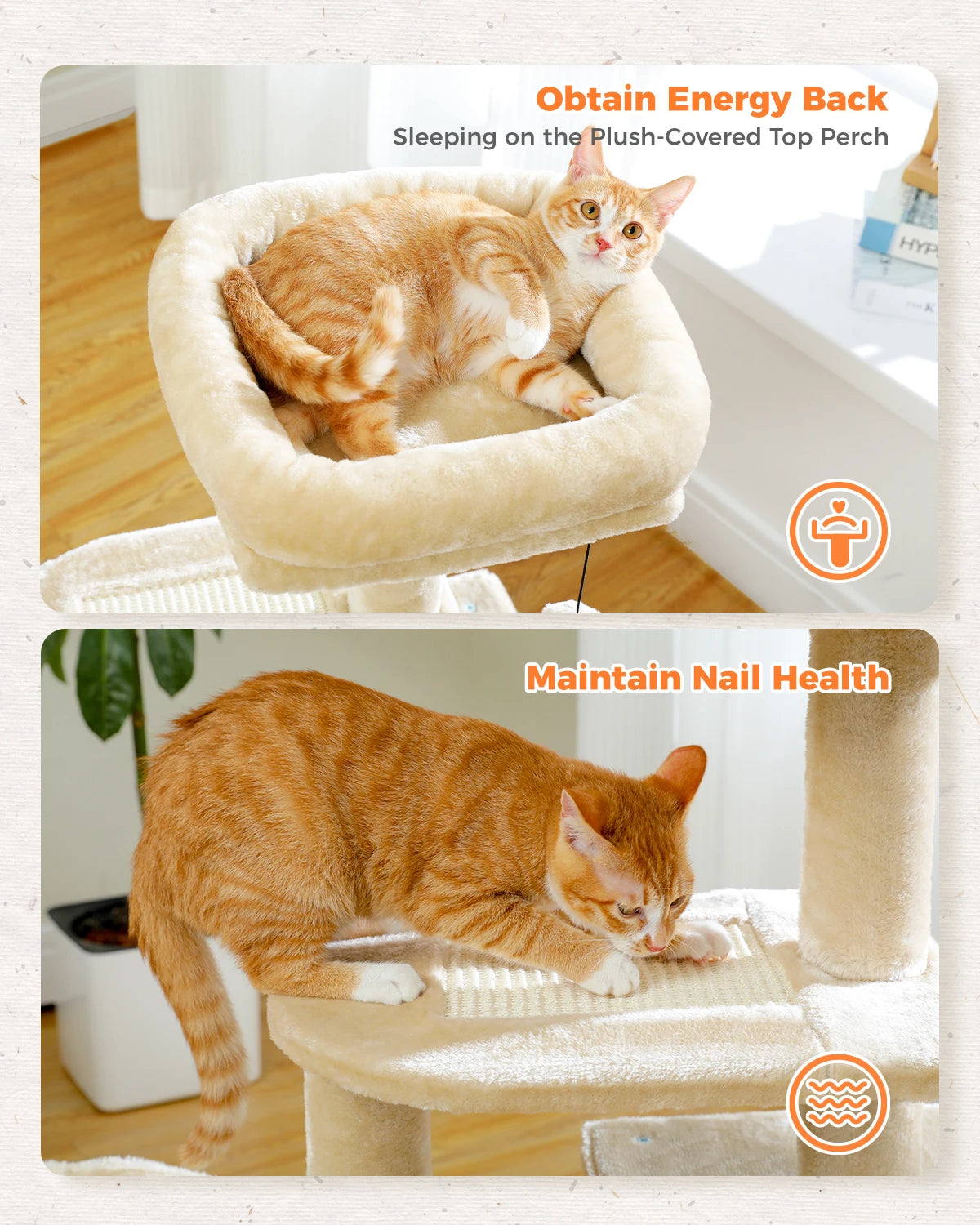 Indoor Cat Tree & Tower with Scratching Posts and Hammock – 2 Styles