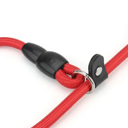 Nylon Dog Slip Collar With Slidable Stopper Martingale Sizes S-M-L Multi-Color