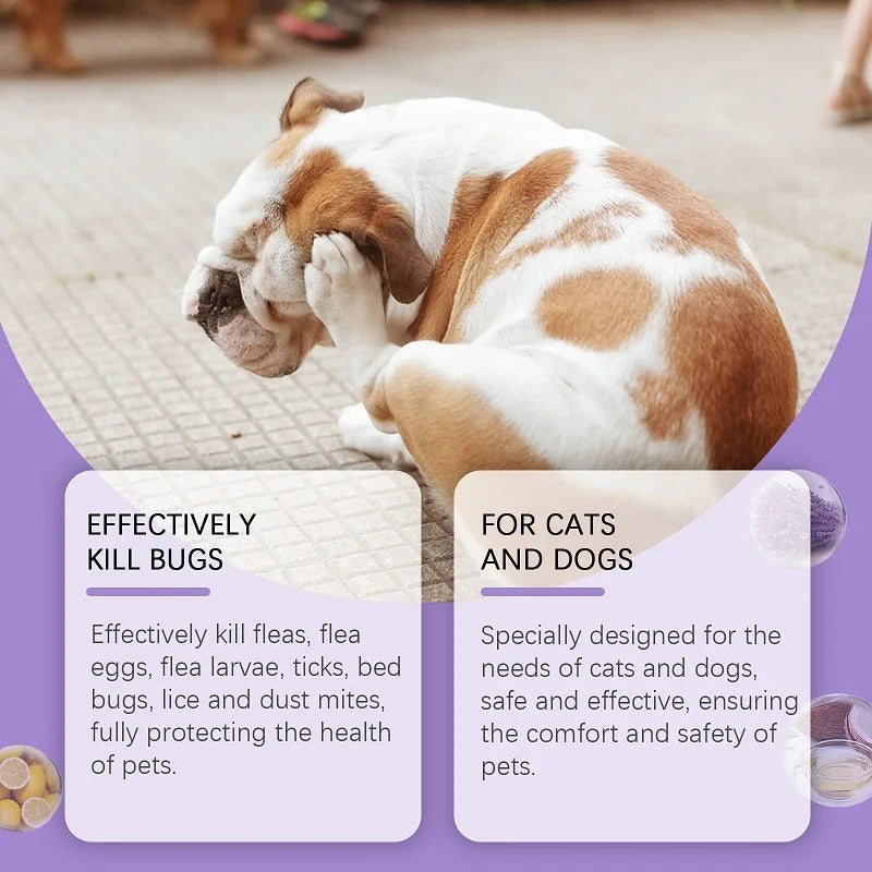 Pet Flea Tick Mites Repellent Shooting Spray with Natural Ingredients Essential Oils for Dogs and Cats External Insect Remover